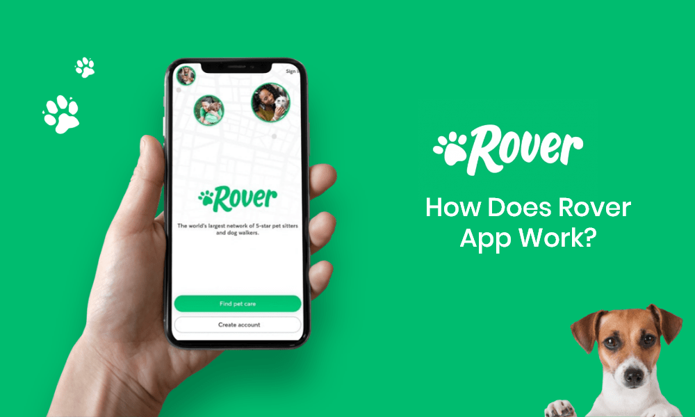 How Much Do Rover Dog Sitters Make