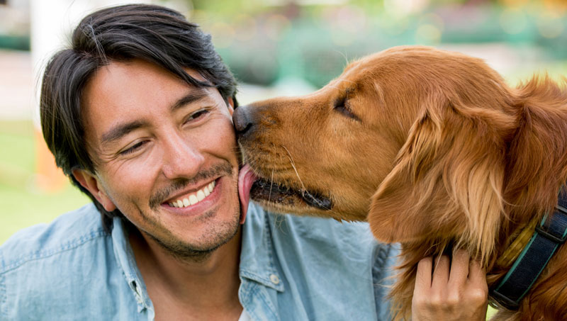 Adoptapet