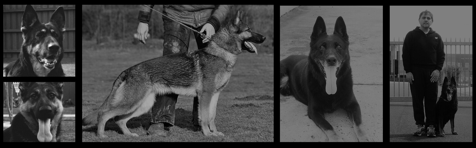 Von Ultimate Kennels