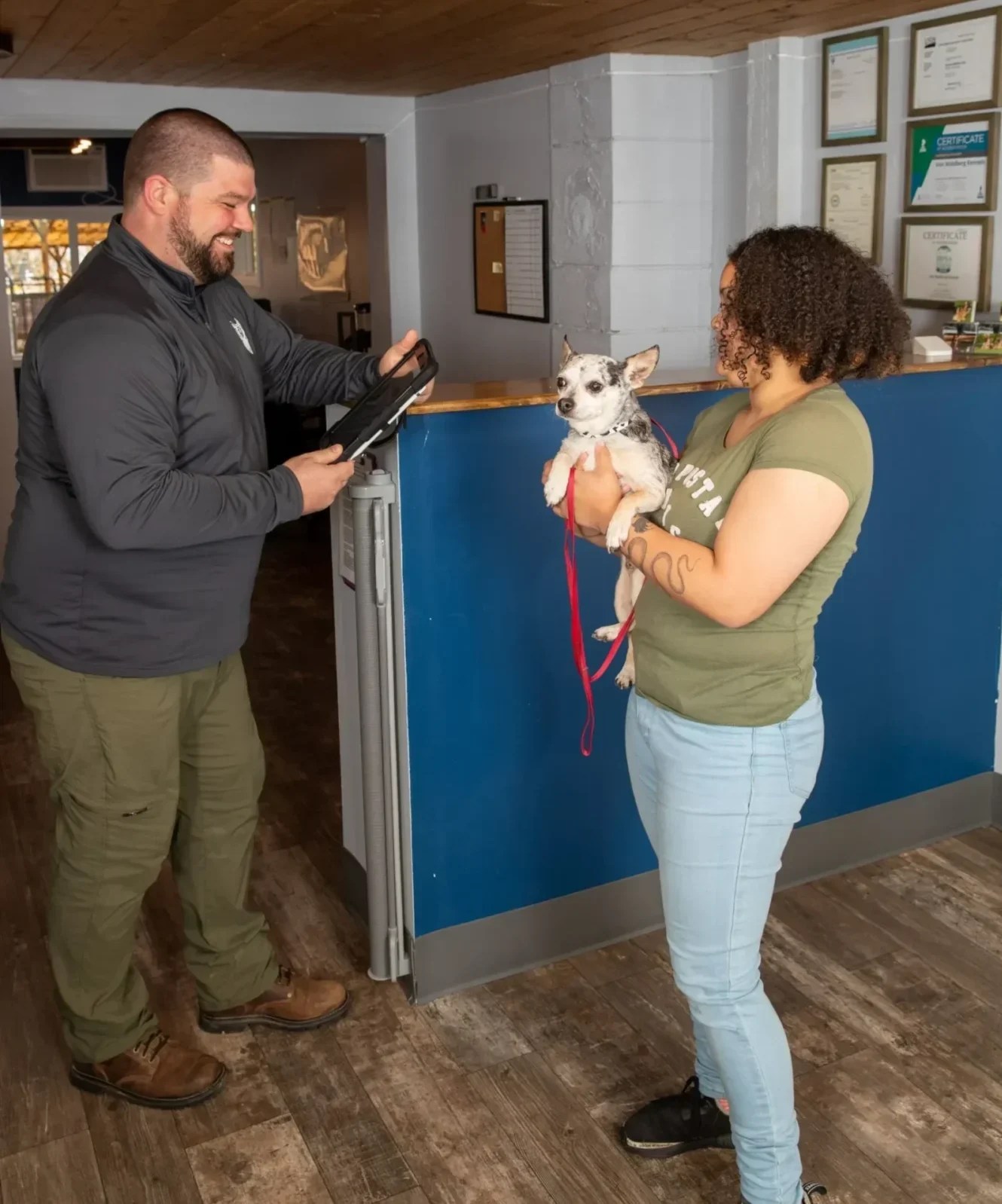 Dog Boarding, Training and German Shepherd Sales in Bothell