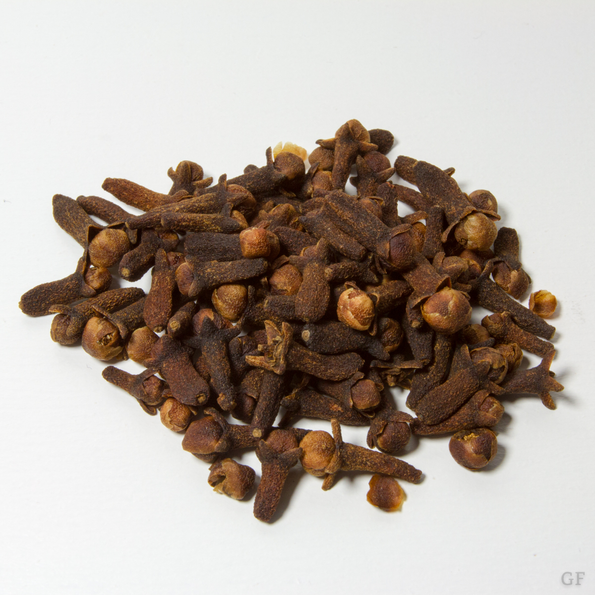 Gewürznelke (Syzygium aromaticum) VORSICHT GESUND