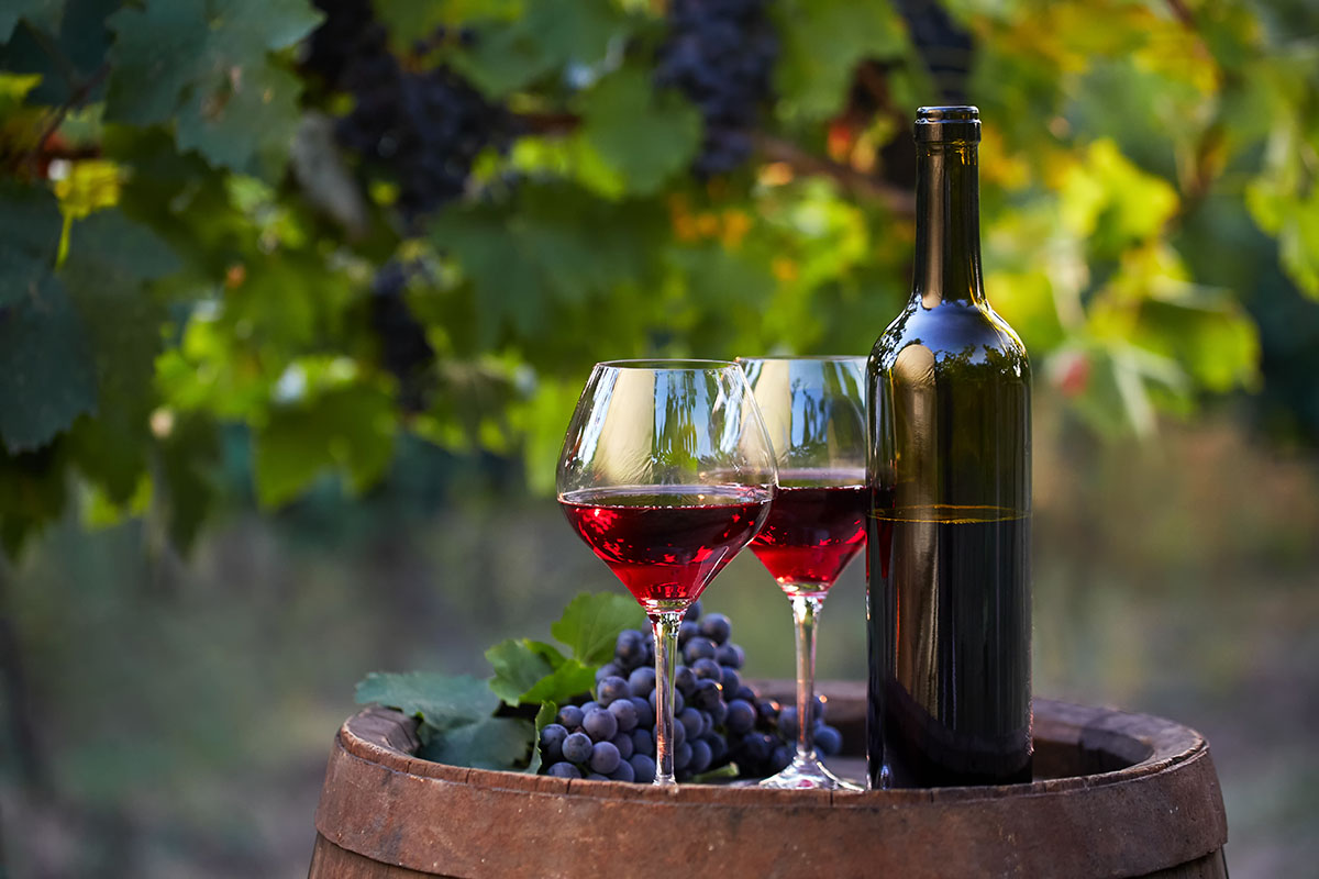 10 benefícios (e 5 contraindicações) do vinho tinto VortexMag
