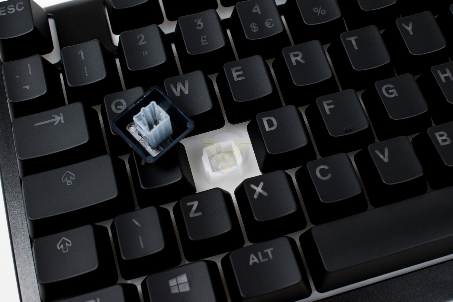 SteelSeries Apex 3 TKL Review - Closer Look
