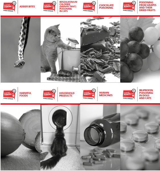 Homepage » Veterinary Poisons Information Service