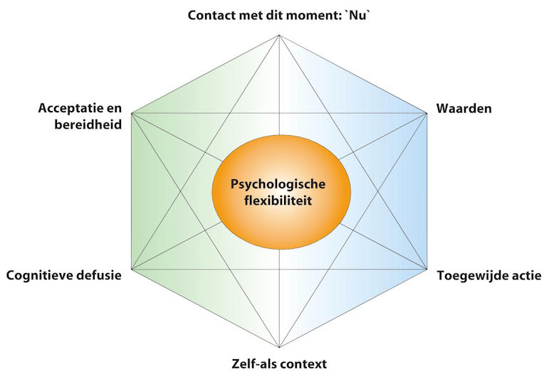 Lees meer ACT (Acceptatie en Commitment Therapie) Praktijk Vredespad