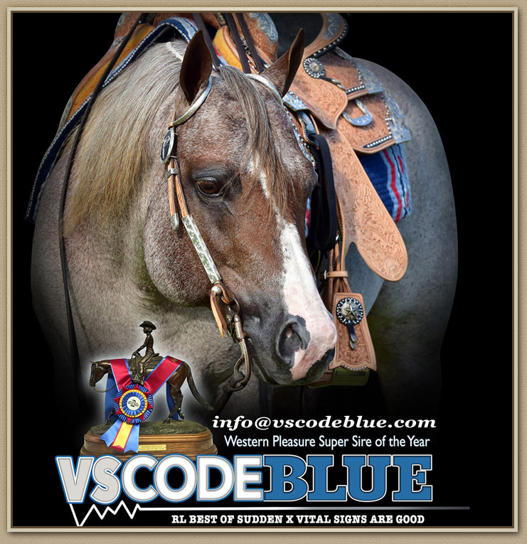 VS Code Blue AQHA Stallion by Reichert Celebration Champion RL Best of