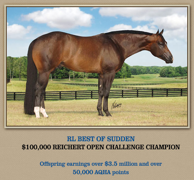 VS Code Blue AQHA Stallion by Reichert Celebration Champion RL Best of