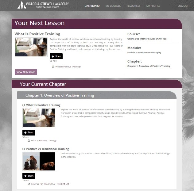 Dog Trainer Course Elite professional dog trainer certification