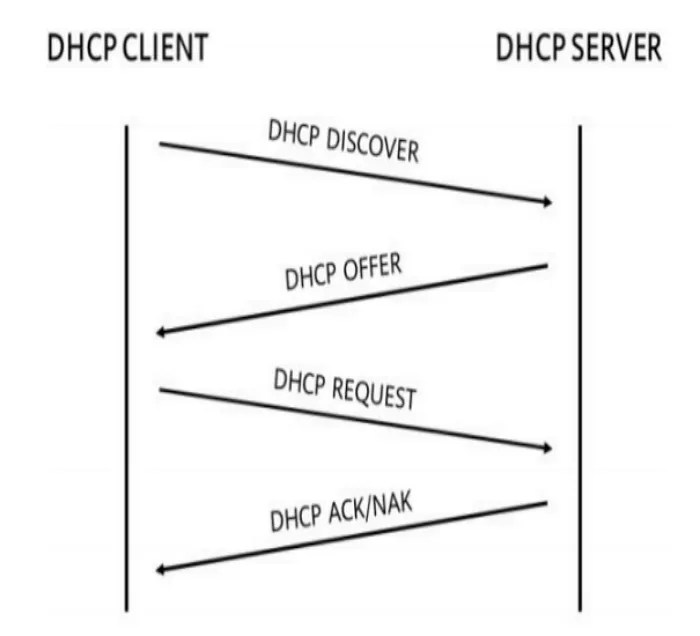 What is DHCP: Interaction Process and Packet Structure - VSOL