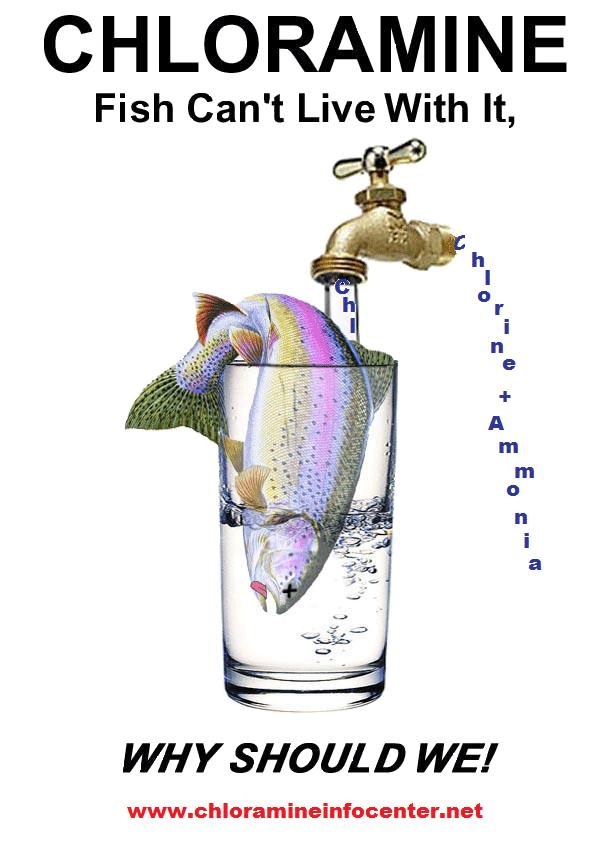 Ian Blair Hamilton's HealtheMail Chloramines and Chlorine