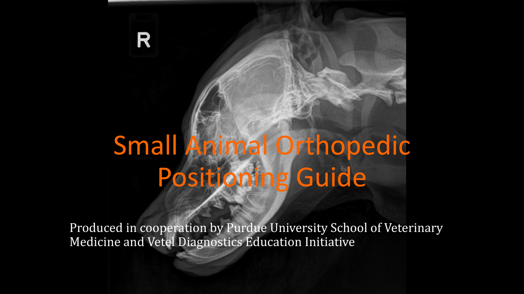 Small Animal Orthopedic Positioning Guide ebook VUE IMAGING