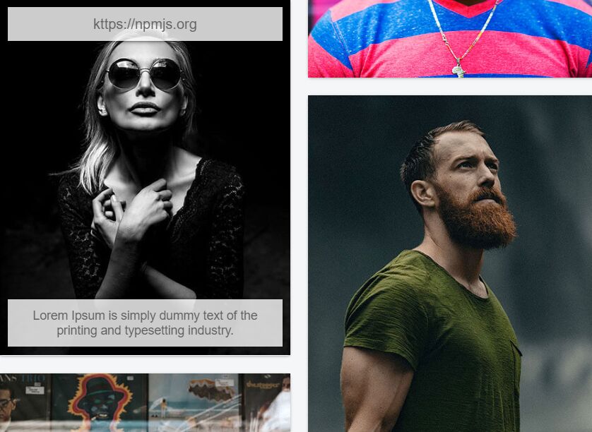 Masonry Gallery Layout Component For Vue.js Vue Script
