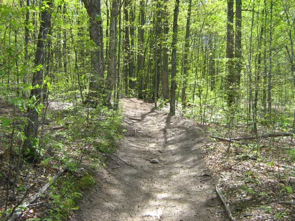 Kalkaska Trail Information