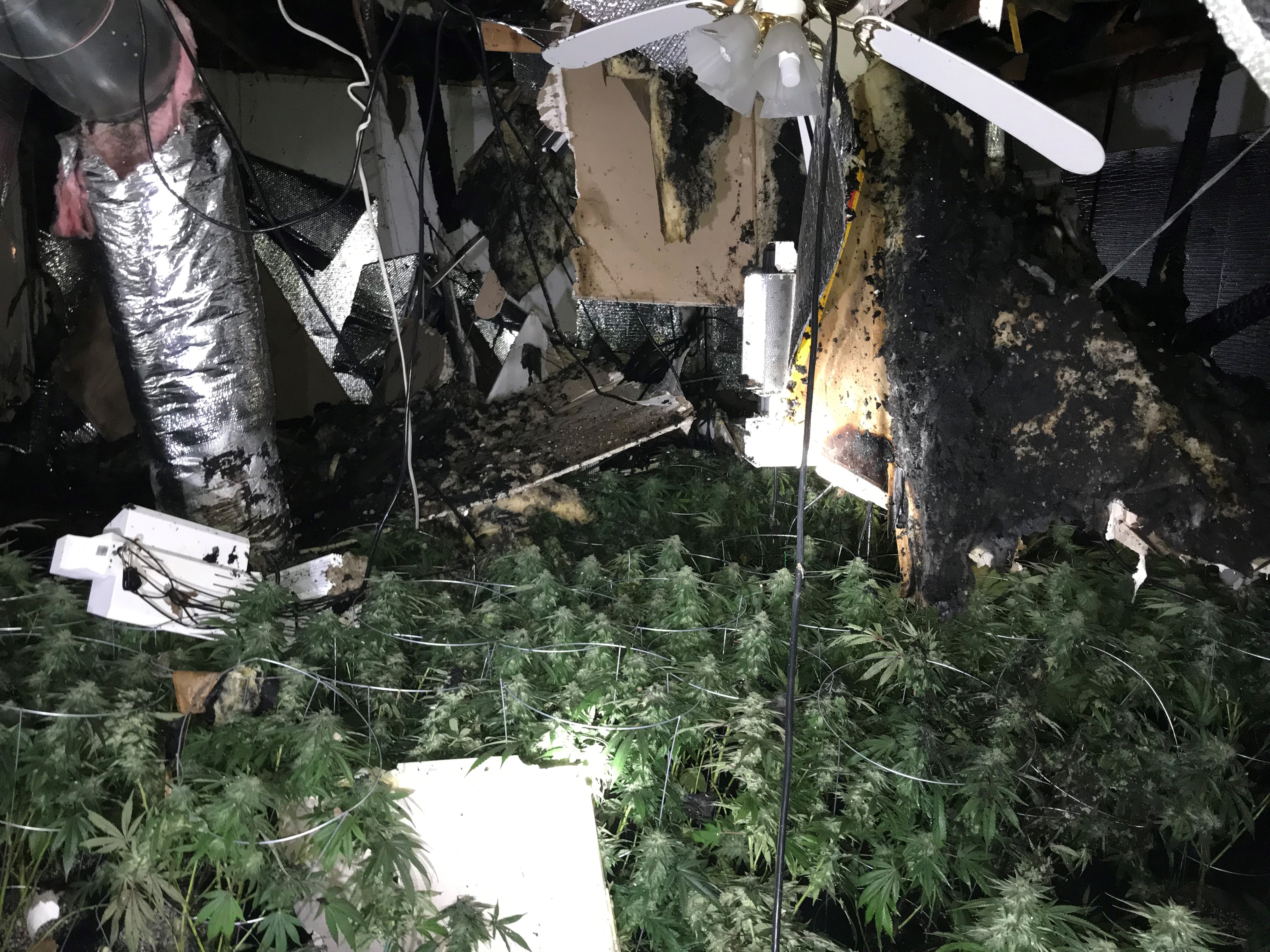 Hesperia man arrested after marijuana grow catches house on fire VVNG
