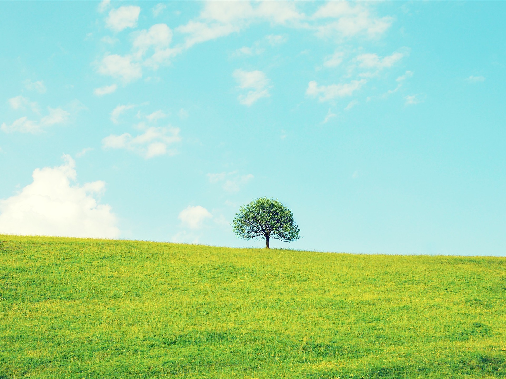 245 Background Image Grayscale Css Picture My