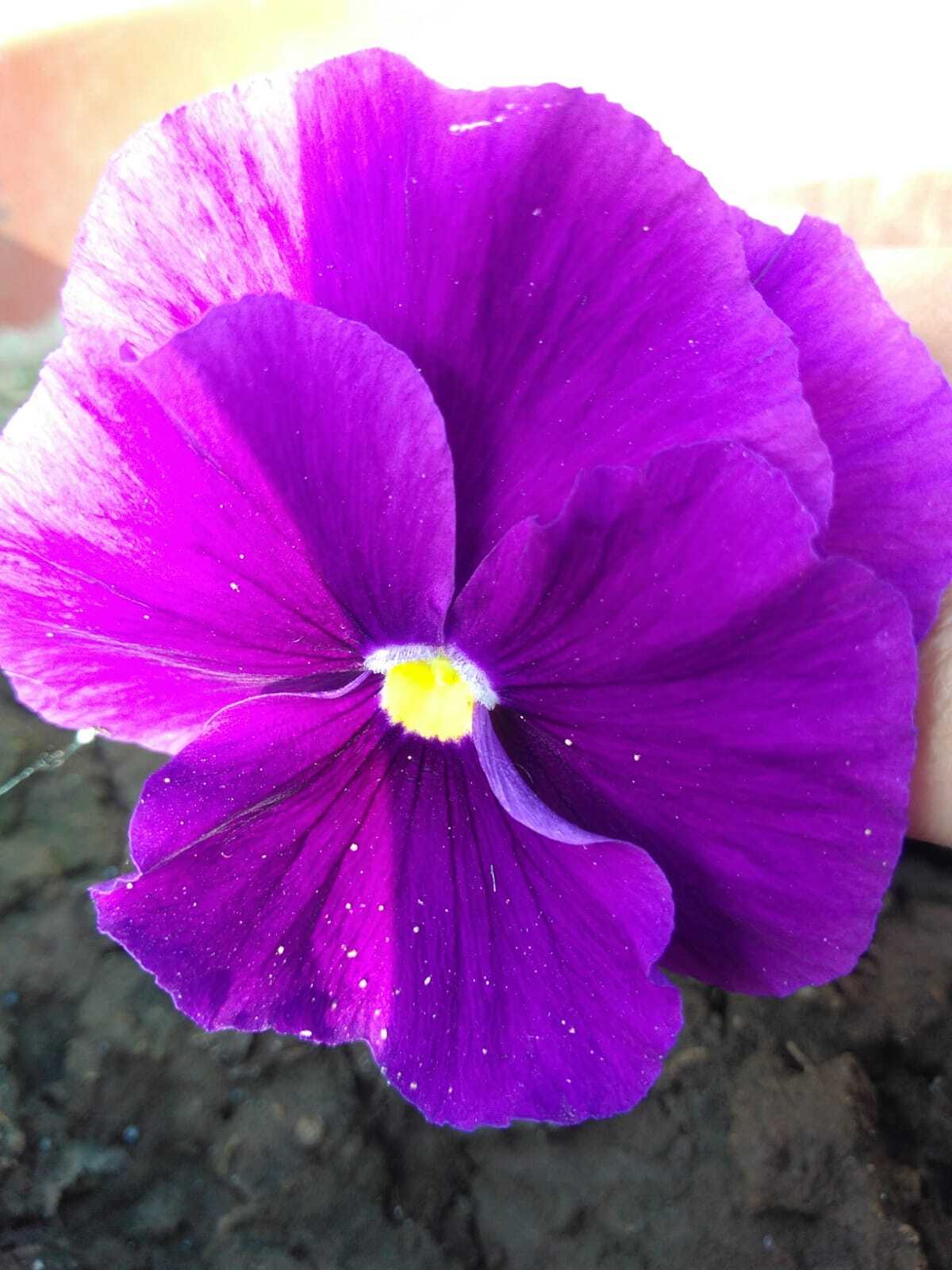 How To Create A Login Form Using Html And Css 2020 Bangla Tutorial Vrogue How To Create A Login Form Using Html And Css 2020 Bangla Tutorial Vrogue