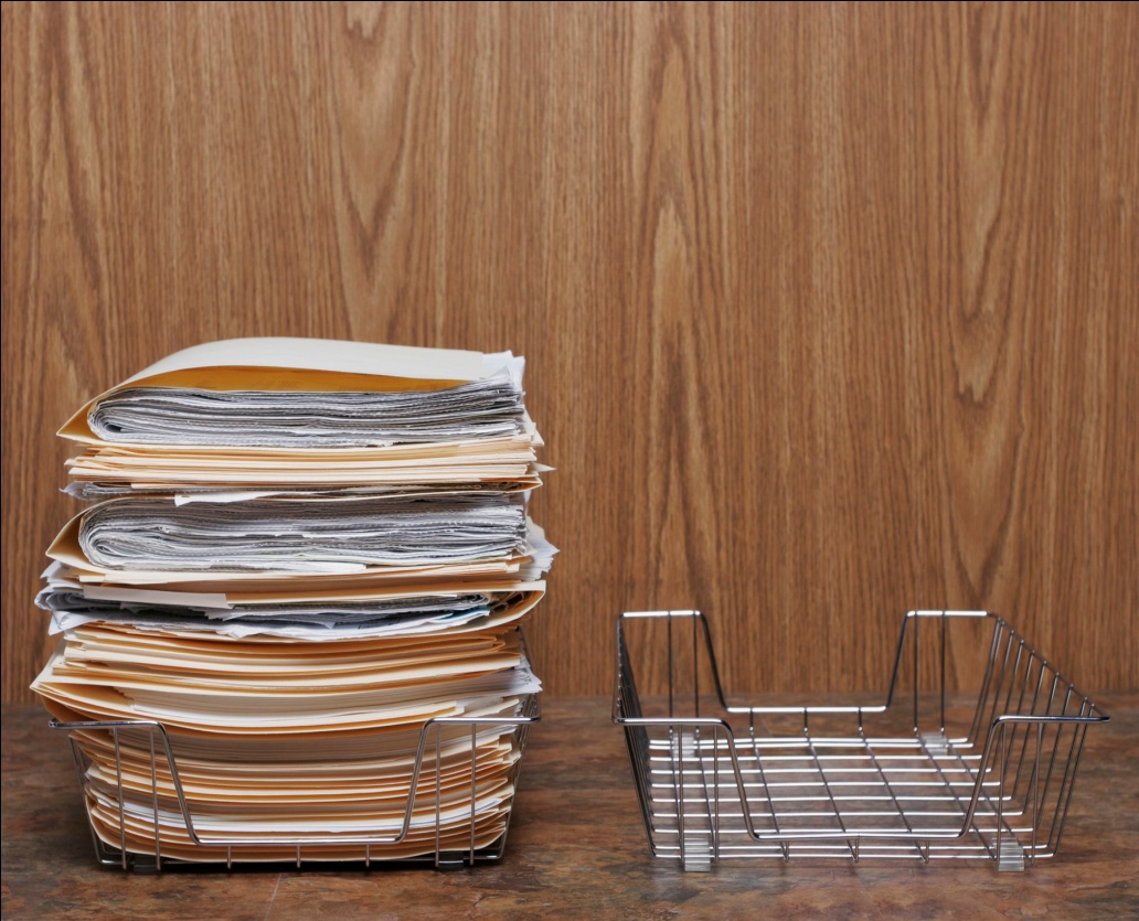 Training and Development W3schools