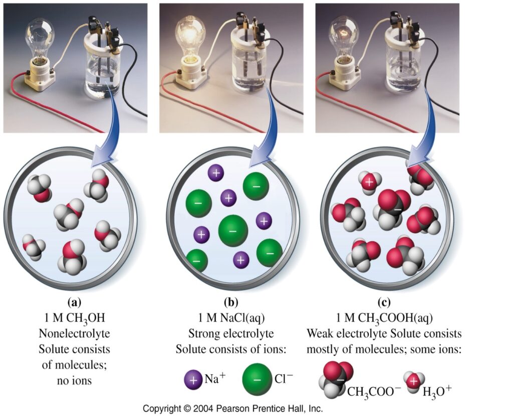 Strong and weak electrolytes W3schools