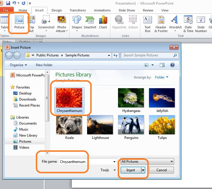 How to Insert Picture and Clip Art W3schools