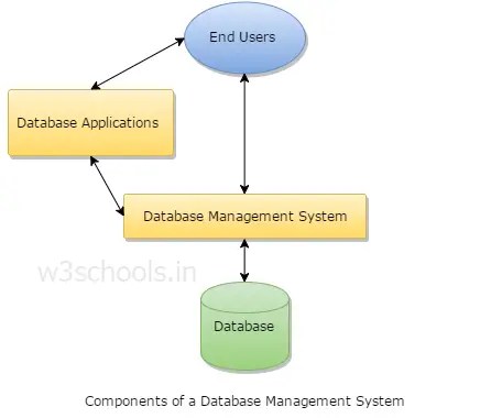 Components Of Database System