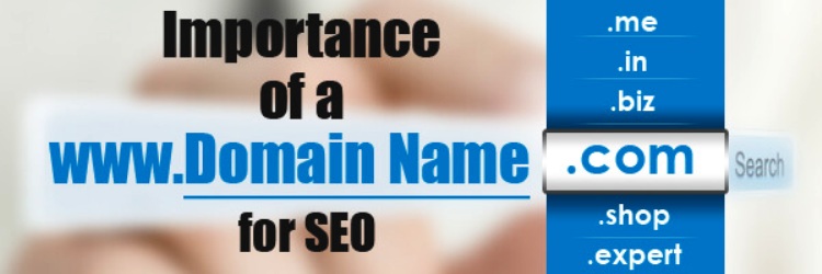 Complete Guide To Domain And Its Effects On SEO W3training School