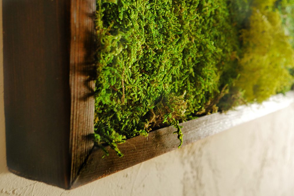 Moss Wall Art 36x18 with Driftwood WabiMoss