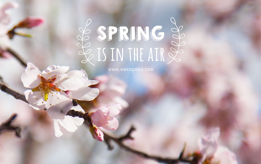 «Spring is in the air!» Lo dice este fondo de pantalla wacapaka