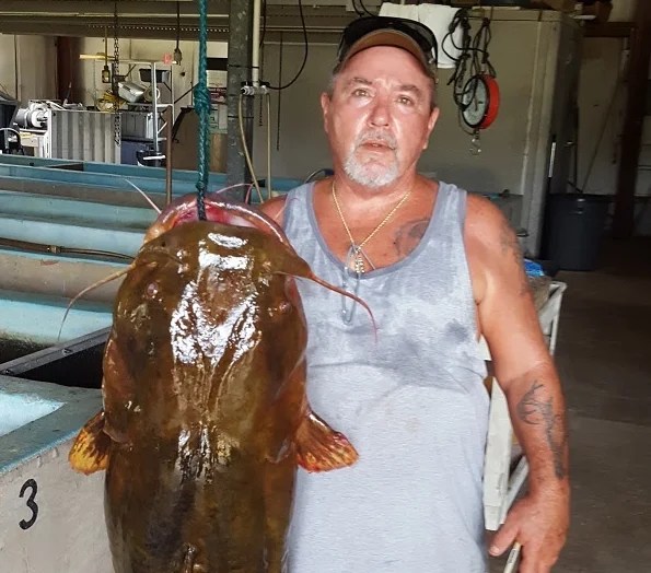 Record Breaking Catfish Caught In Florida Wacky Explorer