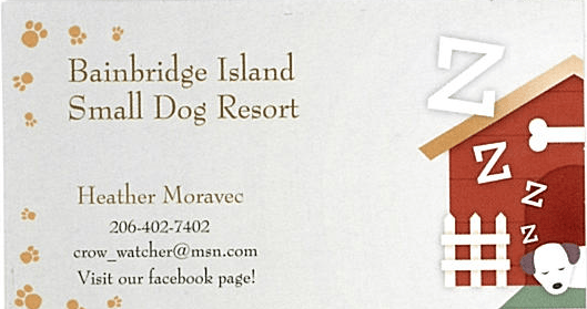 LOCAL PET AND HOUSE SITTERS Winslow Animal Clinic