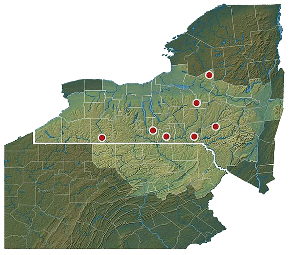 Procurement Map Wagner Lumber Sawmill in New York & Pennsylvania