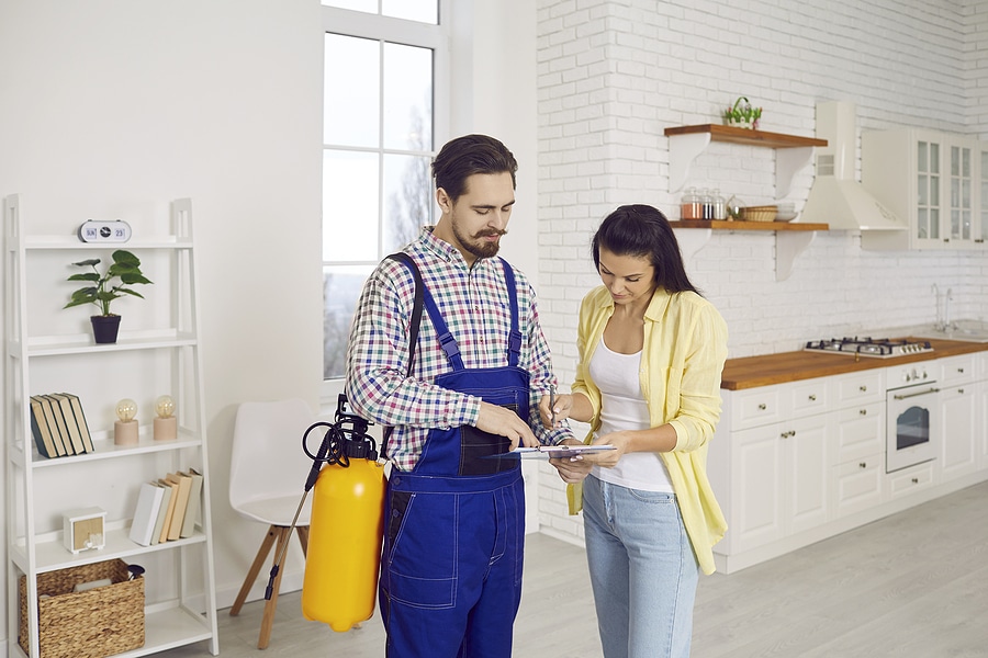 Pest Control vs. Animal Control What’s the Difference?