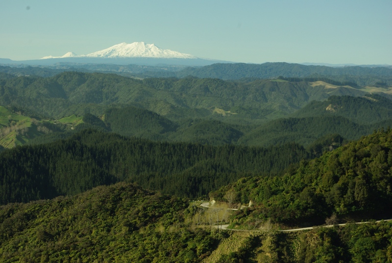 tramping and visiting in the Waitotara, Ngamatapouri, Taumatatahi and