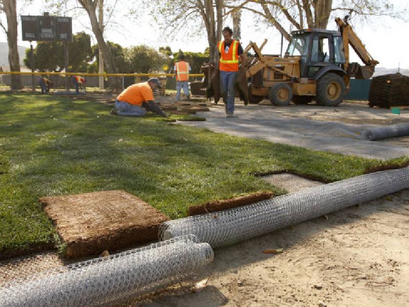 Chicken Wire Mesh for Animal Fencing and Garden Fencing