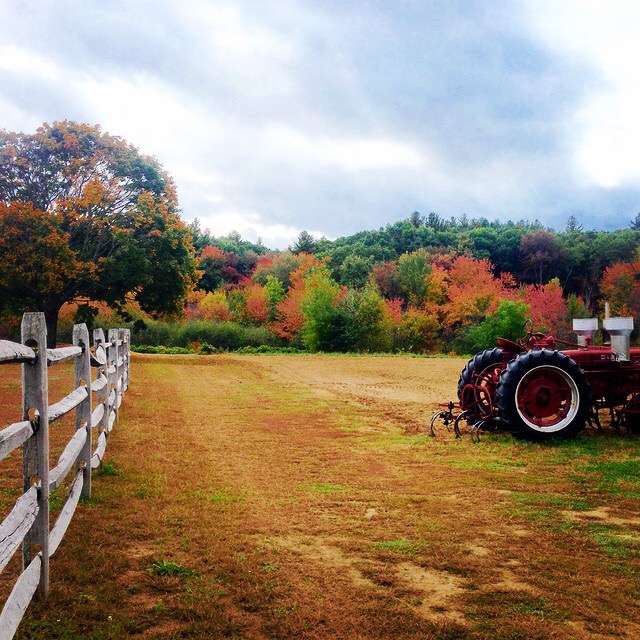 About The Walden Woods Project Farm The Walden Woods Project