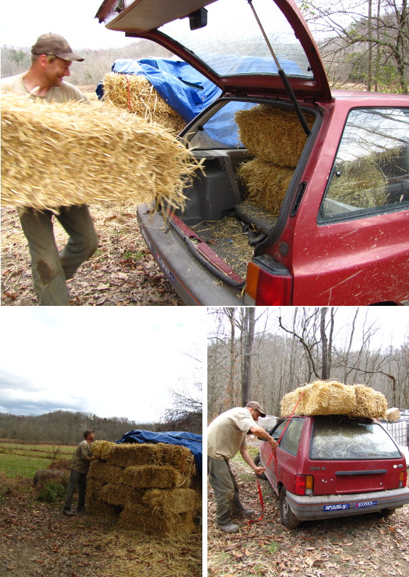 archives for 11/2011