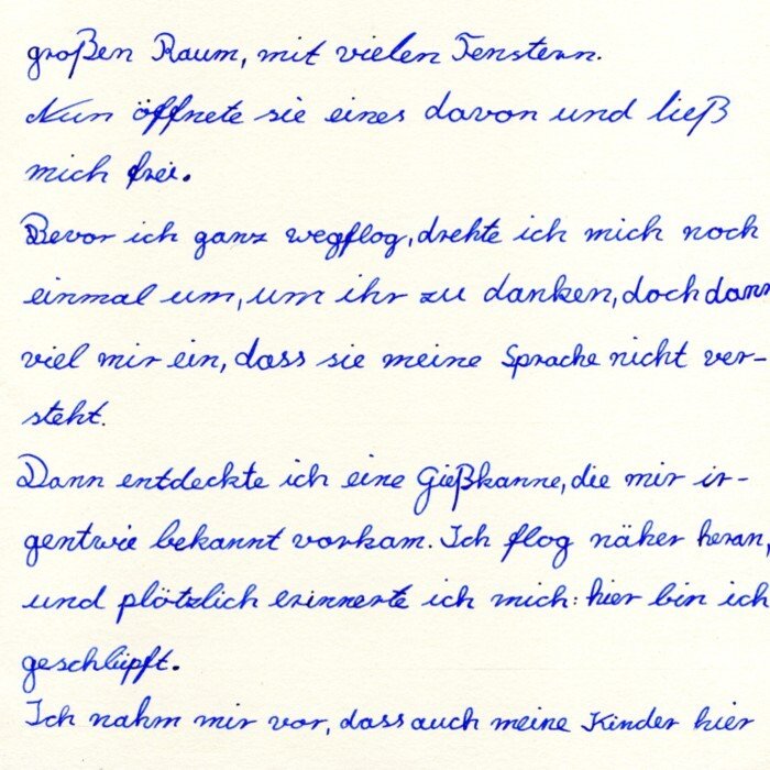 Selbst geschriebenes Tierbuch zur Tierkunde an der Waldorfschule