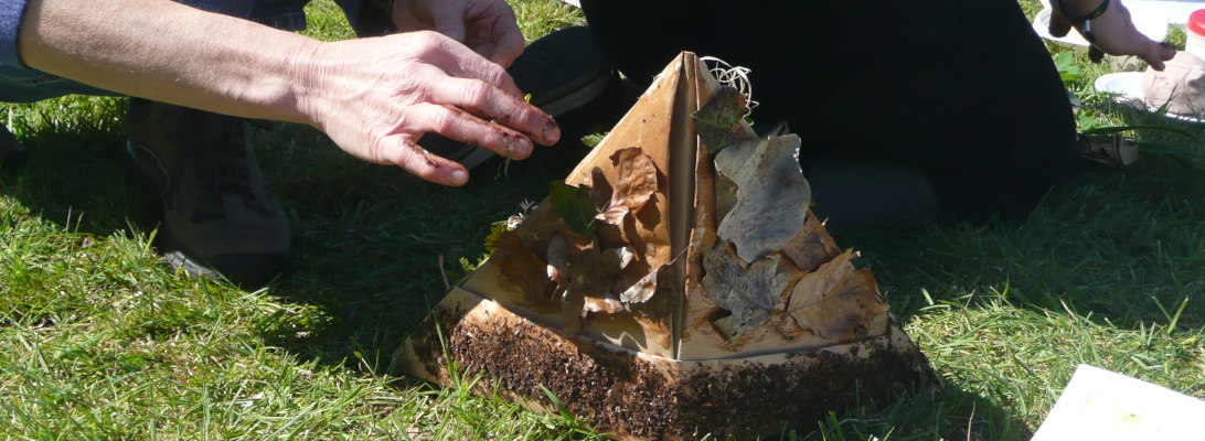 Waldwurzeln Waldkünstler, Naturerfahrung und Waldgruppen in Bestwig