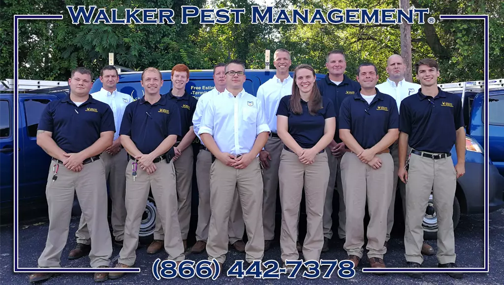 Multi Family Pest Control Charleston Sc As always, mfpc values all