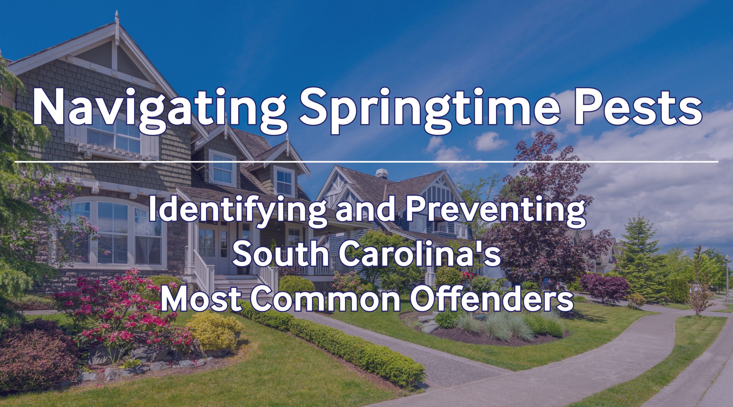Navigating Springtime Pests Identifying and Preventing South Carolina