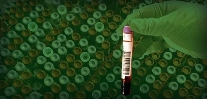 Cost of Blood Work Without Insurance | Walk-In Lab How much do labs cost without insurance