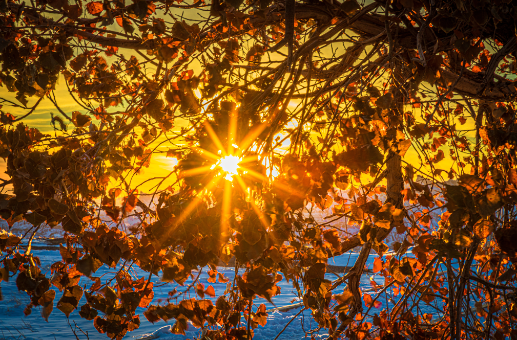 Fall Activities in the Badlands Fall in Wall, SD News Wall