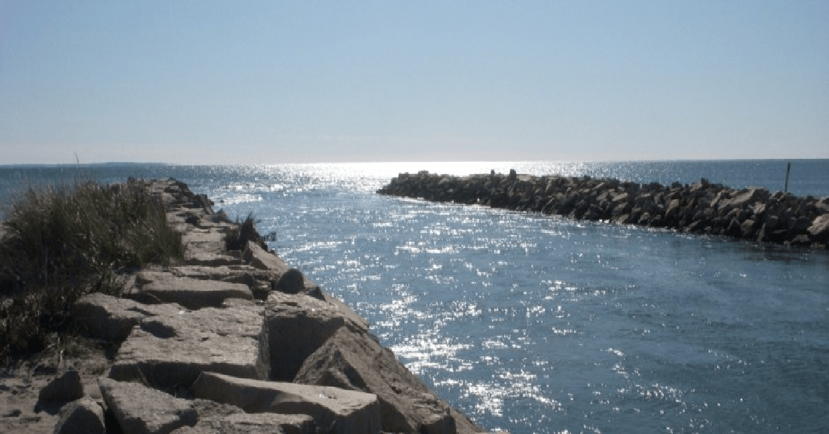 Wallander Realty, LLC We're the ones to reach when looking for the beach!