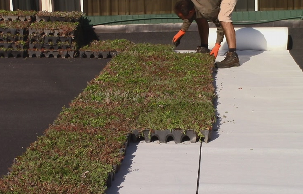 Green Wall Systems UK Living Green Walls Vertical Green Walls