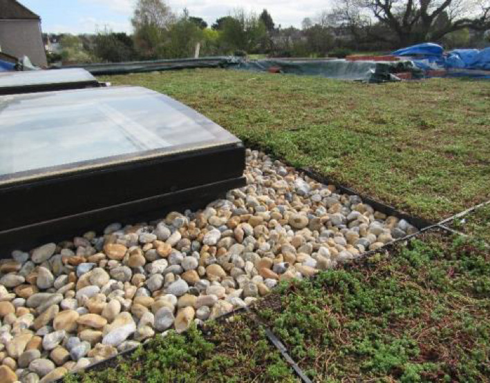 Green Roof Installation Planning Considerations Wallbarn