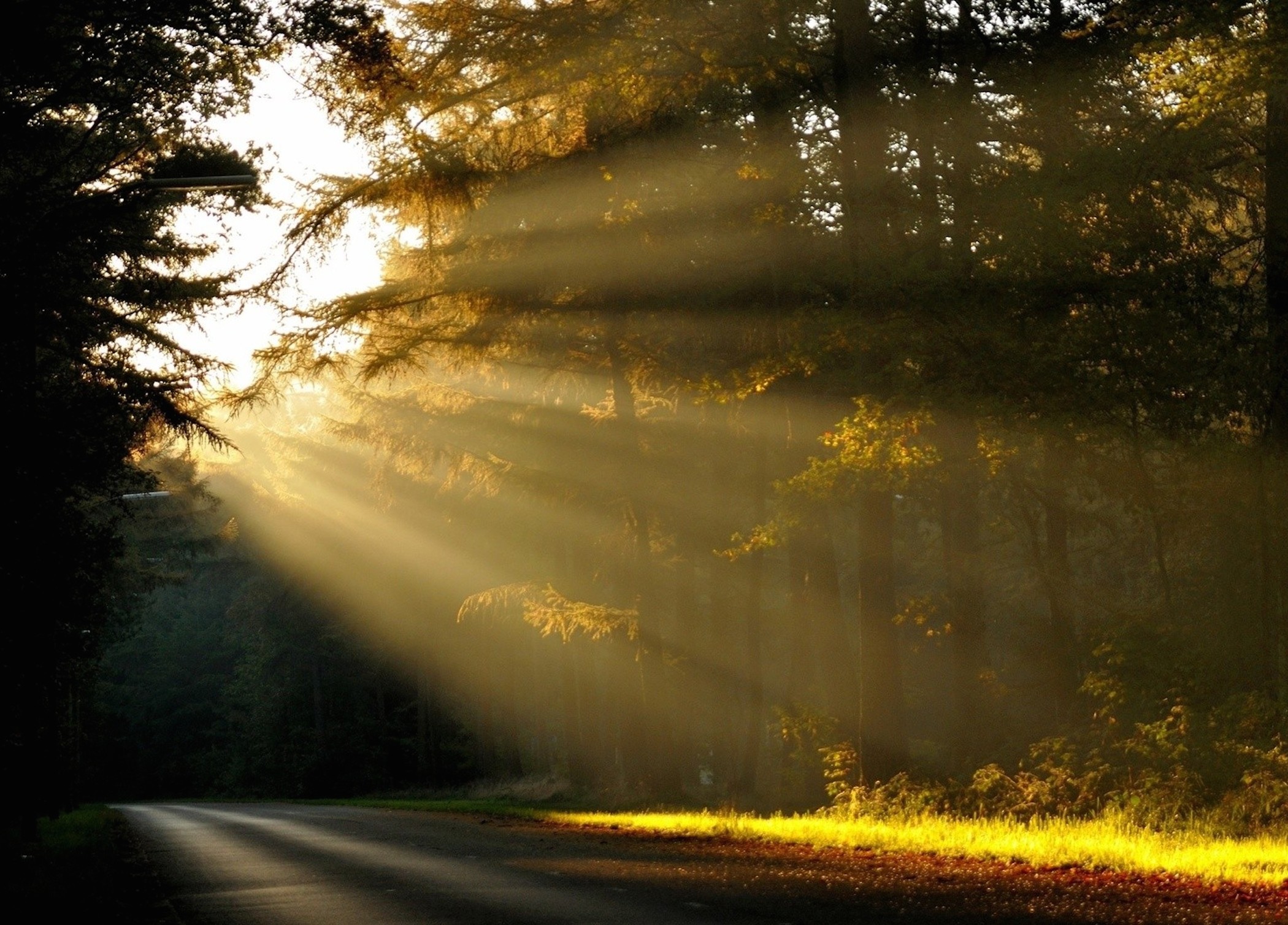 Sunlit Road Wallpaper Free HD Landscape Images