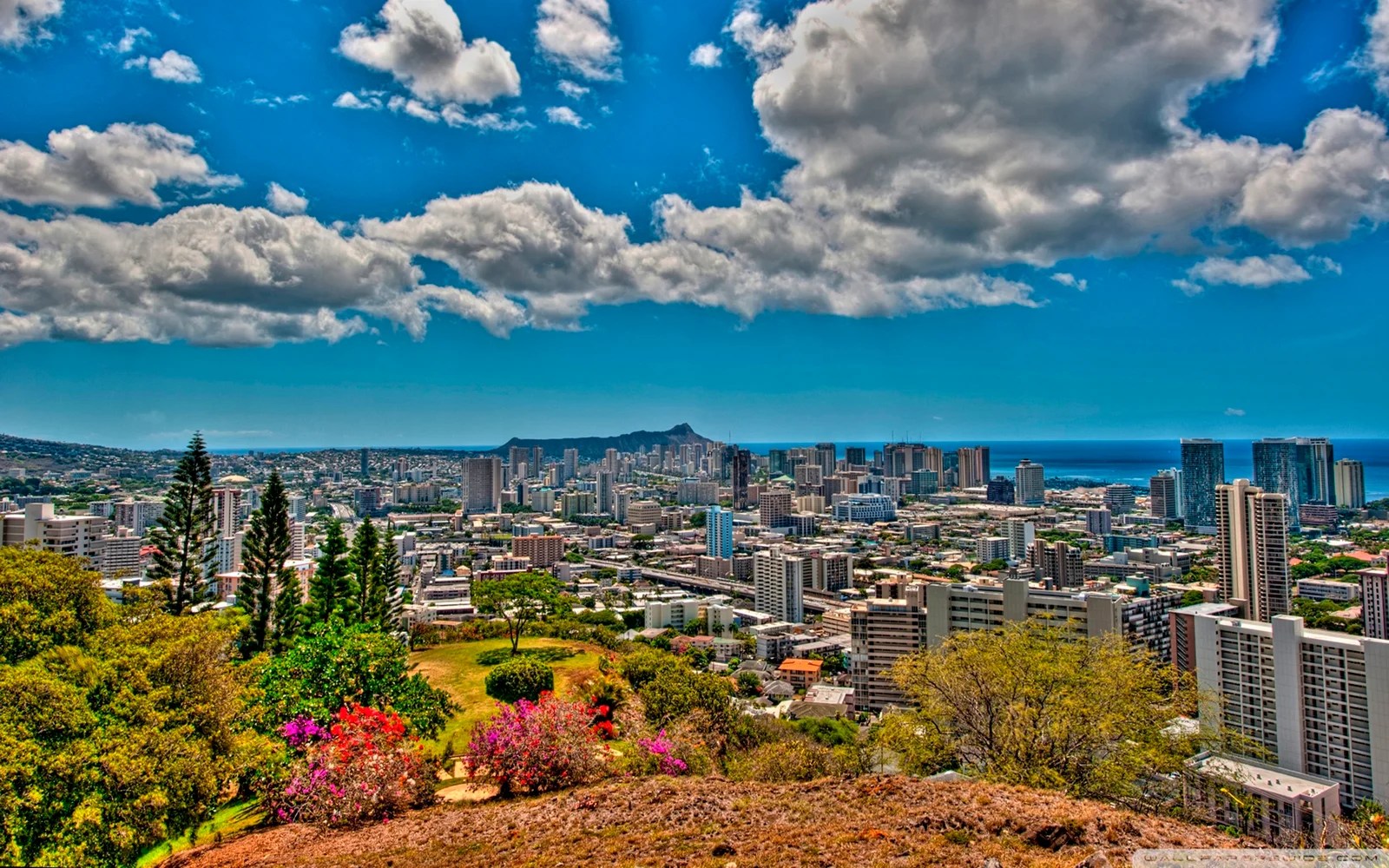 Panoramic View Of Honolulu Hawaii Hdr