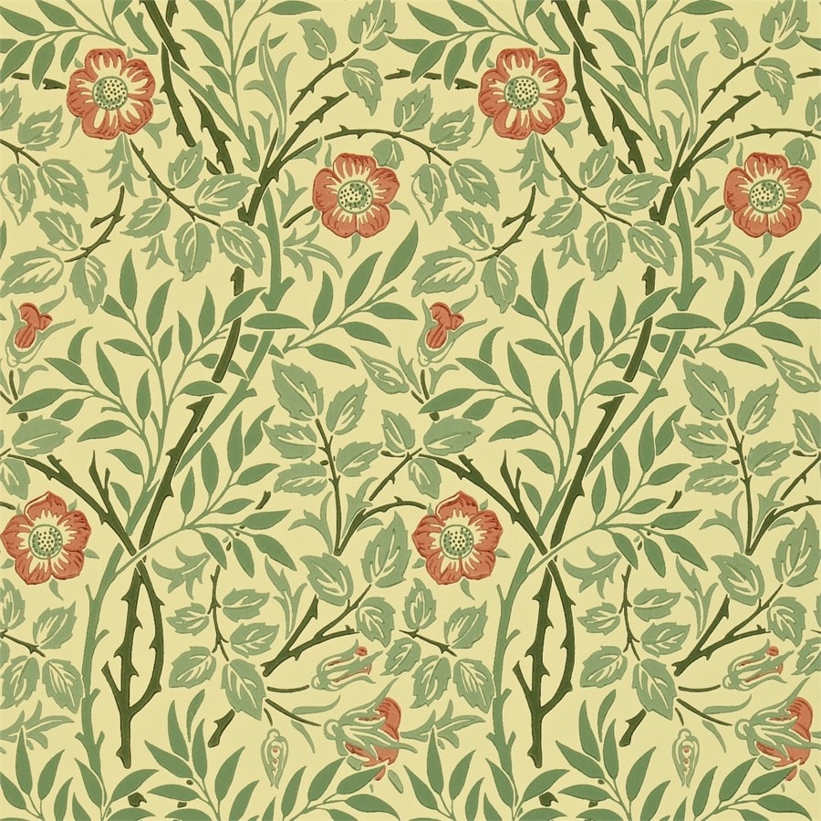 william morris wallpaper,pattern,wallpaper,botany,plant,flower (51978