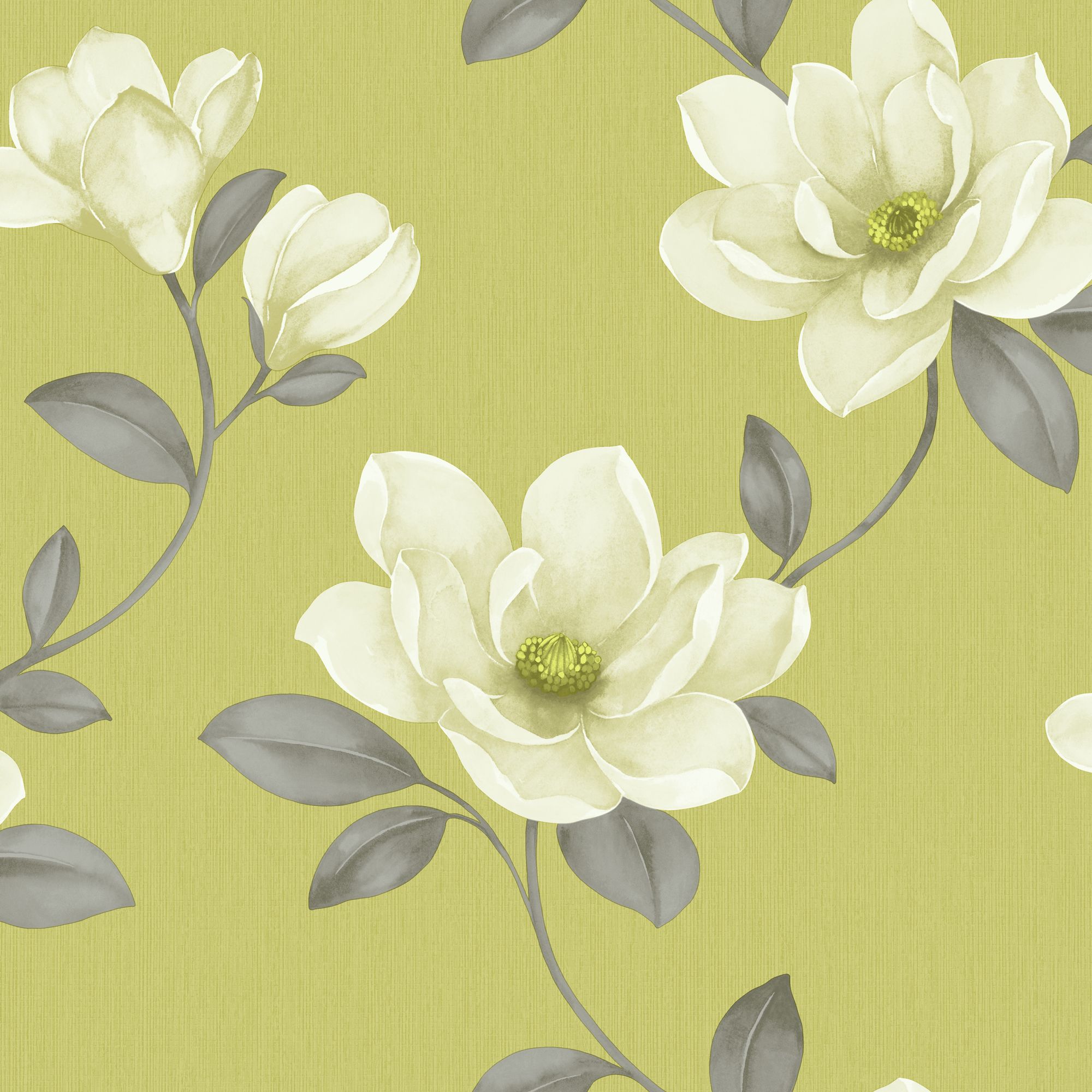 green and cream wallpaper,flower,petal,plant,botany,flowering plant