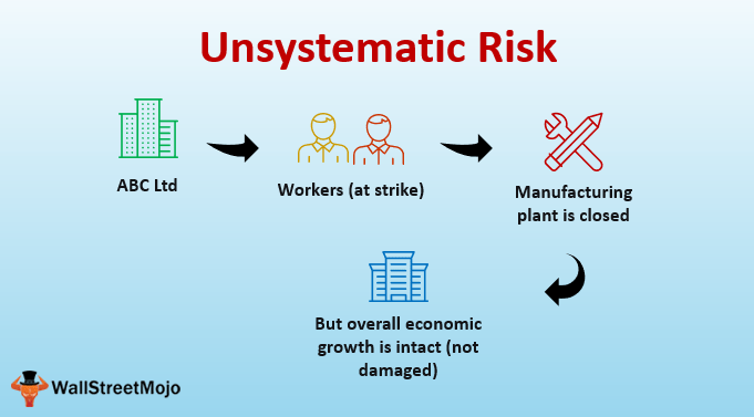 Unsystematic Risk (Definition, Types) Examples of Unsystematic Risk