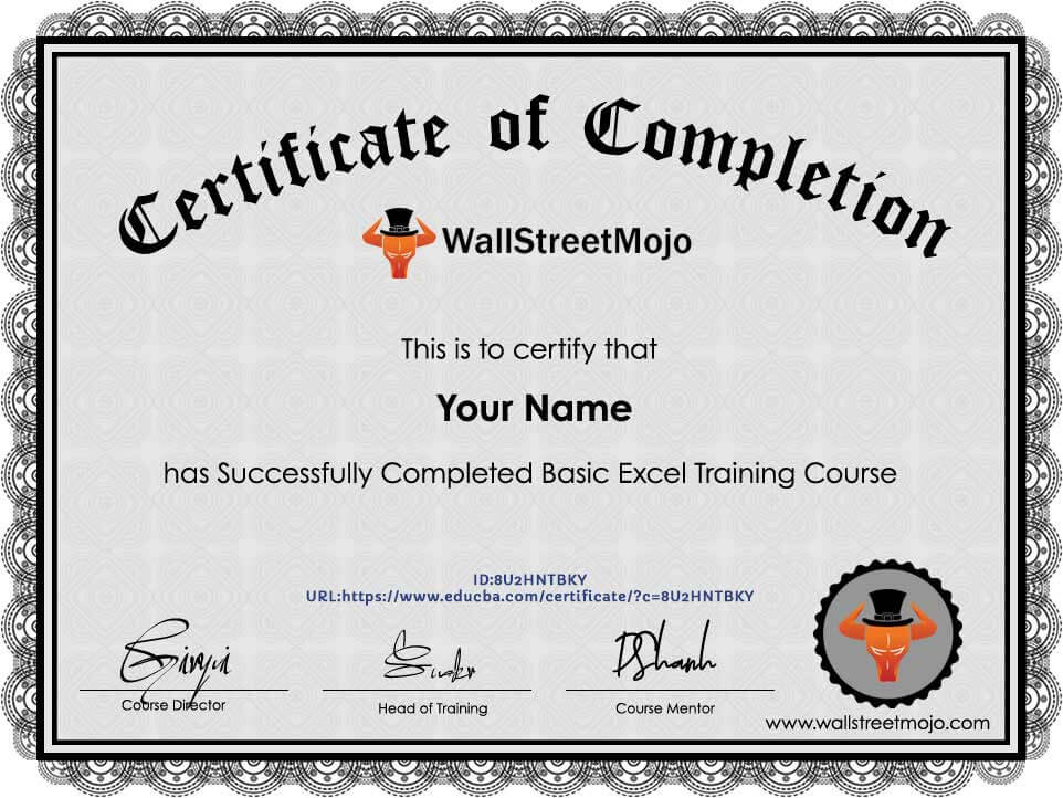 Basic Excel Training (3 Microsoft Excel Course Bundle